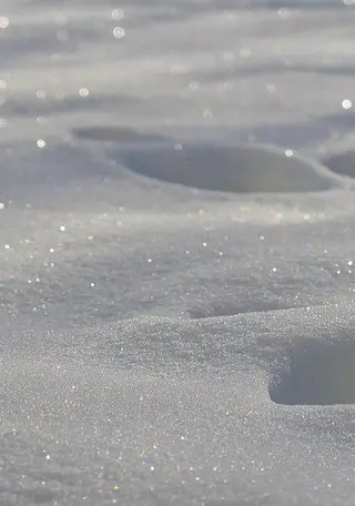 ショート 似合わせカット暖色 カラーhiyonaのヘアスタイル