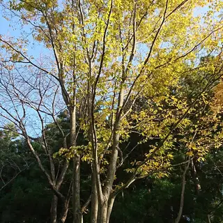 g*rossa高橋 くみこのエステ・リラクイメージ