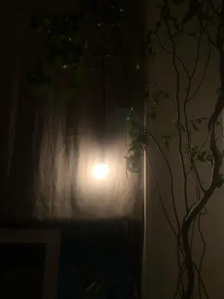 basico  のエステ・リラクイメージ