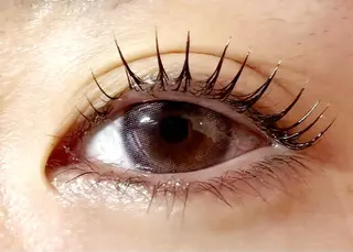 マツエク・マツパ Celeste Venus所属・🧸Celeste Venusのマツエク・マツパデザイン