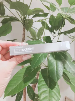 マツエク・マツパ MOCOE SATOMIのマツエク・マツパデザイン