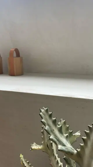 アイブロウ une 石橋阪大前・ 箕面・池田・蛍池のマツエク・マツパデザイン