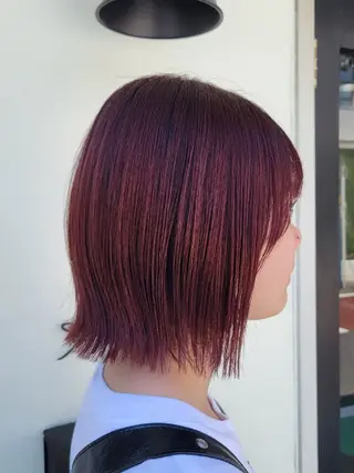 ショート カラー 渡辺祐輔 透明感🫧艶カラー✨のヘアスタイル