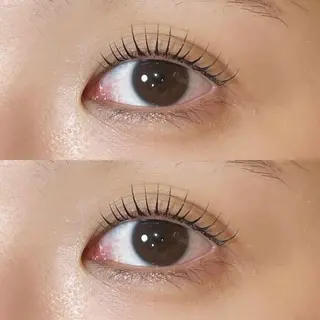 ใใใจใฏใปใใใ ๐๐๐๐๐ ๆ่ฑใฎใใใจใฏใปใใใใใถใคใณ