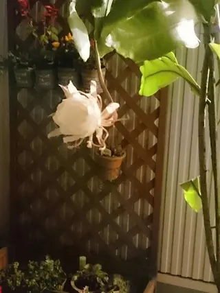 メナード水戸見川店　MENARD所属・黒坂 リカのその他イメージ