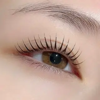 マツエク・マツパ 束感まつ毛🦋 京橋/藤本加奈のマツエク・マツパデザイン