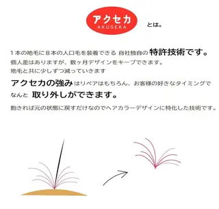 ミディアム カラー ヘアアレンジ KIRAN 山﨑のエステ・リラクイメージ