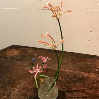 マツエク・マツパ komatsu eyelash恵比寿のマツエク・マツパデザイン