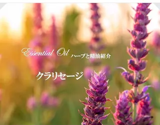 香りの家ローズマリー 🌿アロマリンパのエステ・リラクイメージ