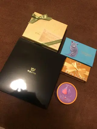 ミディアム カラー パーマ ヘアアレンジ メンズ キッズ ネイル マツエク・マツパ アイブロウ アニメ,Vオタク× 即効痩せエステサロンのエステ・リラクイメージ