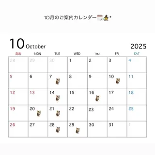 Kanae/束感 まつ毛エクステ♩のマツエク・マツパデザイン