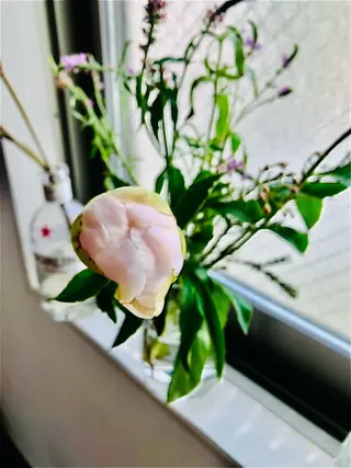 basico  のエステ・リラクイメージ