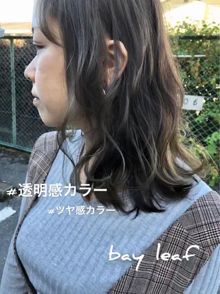 セミロング カラー レイヤーカット匠 イソザキノリユキのヘアスタイル