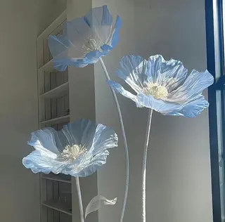 丸山 知夏のその他イメージ