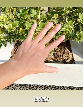 ネイル FERNA フェルナのマツエク・マツパデザイン