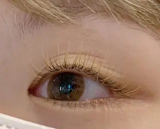 マツエク・マツパ 💙 haru 💙のマツエク・マツパデザイン