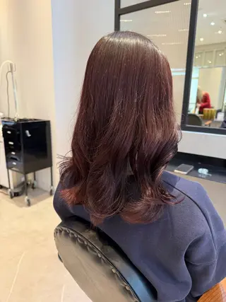 セミロング 韓国ヘア🇰🇷/ みずき/レイヤーのヘアスタイル