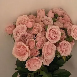 セミロング カラー 透明感/韓国風 🤍moeka🤍のヘアスタイル