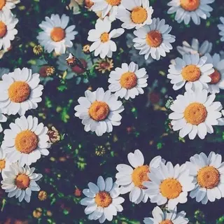 ショート カラー パーマ ヘアアレンジ メンズ 髪質改善🫧ベージュ 椙山 響のヘアスタイル