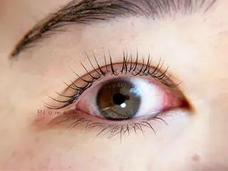 マツエク・マツパ Plume micoのマツエク・マツパデザイン