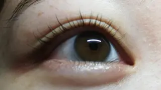 マツエク・マツパ angelux 所属・完全個室サロン🌹 angelux🌹のマツエク・マツパデザイン