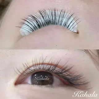 マツエク・マツパ Fujimoto 🦭⸝⋆꙳のマツエク・マツパデザイン