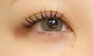 マツエク・マツパ 🌼Alba🌼 犬馬塲のマツエク・マツパデザイン