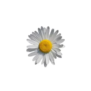 レイヤーカット ♥kanaのヘアスタイル