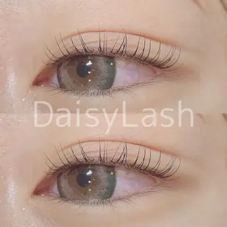 マツエク・マツパ DaisyLash 京橋店のマツエク・マツパデザイン