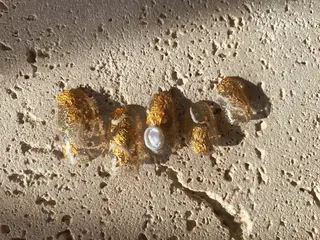 ネイル nailsalon Única　ウニカのネイルデザイン