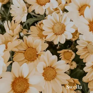 マツエク・マツパ 浦和駅近完全個室 Michikoのマツエク・マツパデザイン