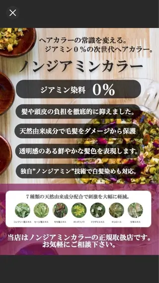 カラー 3A ゆかりのヘアスタイル