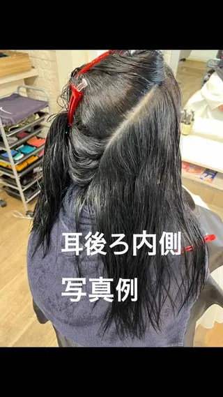 ミディアム 服部 洋季のヘアスタイル