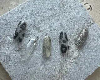 ネイル tree houseのネイルデザイン