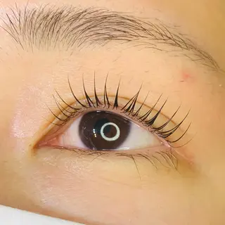 マツエク・マツパ Celeste Venus所属・🧸Celeste Venusのマツエク・マツパデザイン