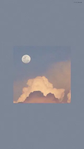 haru/レイヤー/ ウルフのヘアスタイル