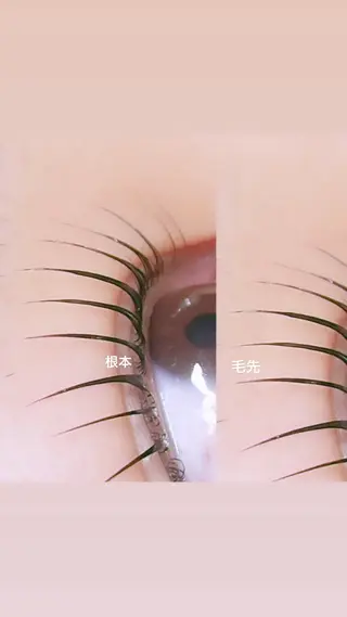 マツエク・マツパ ロニセラ アイラッシュのマツエク・マツパデザイン