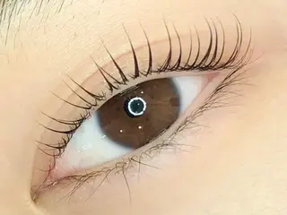 ãããšã¯ã»ããã jolie æ ð€ã®ãããšã¯ã»ããããã¶ã€ã³