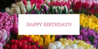 🌿SWEET VILLAS🌿のその他イメージ