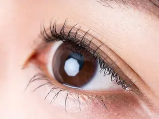 マツエク・マツパ ナチュレ所属・ナチュ レのマツエク・マツパデザイン