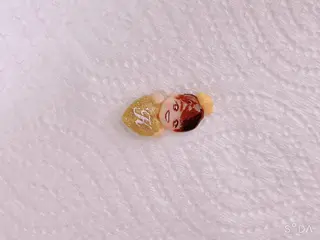 ネイル Bianca川越❄ Yanoのネイルデザイン