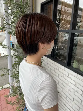 ショート 小坂 真子のヘアスタイル
