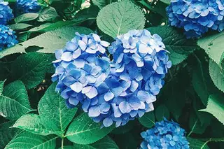 Bianca溝の口 INOMATAのマツエク・マツパデザイン