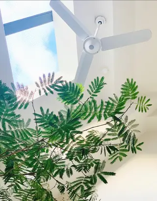 RENsalon大阪 体質改善リトリートのエステ・リラクイメージ