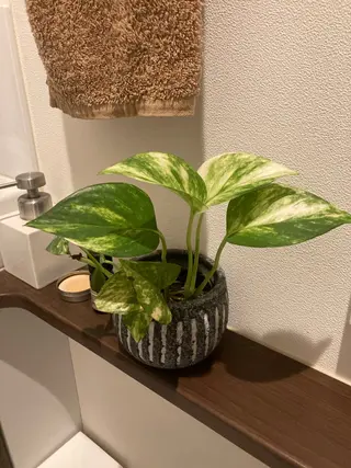 フェイシャルサロン ビアンカガーデンのエステ・リラクイメージ