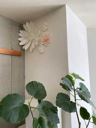 LC尾張旭店所属・LC尾張旭店💙 いしいのマツエク・マツパデザイン