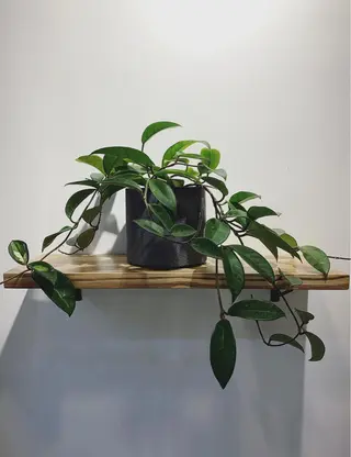 ミディアム LOuNICA/銀座 RYUNOSUKEのヘアスタイル