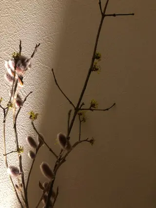 basico  のエステ・リラクイメージ