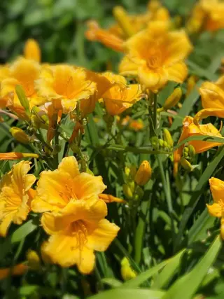 ネイル EN salon💅 🦋もり💕のネイルデザイン