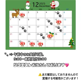 笠井 未夢のマツエク・マツパデザイン